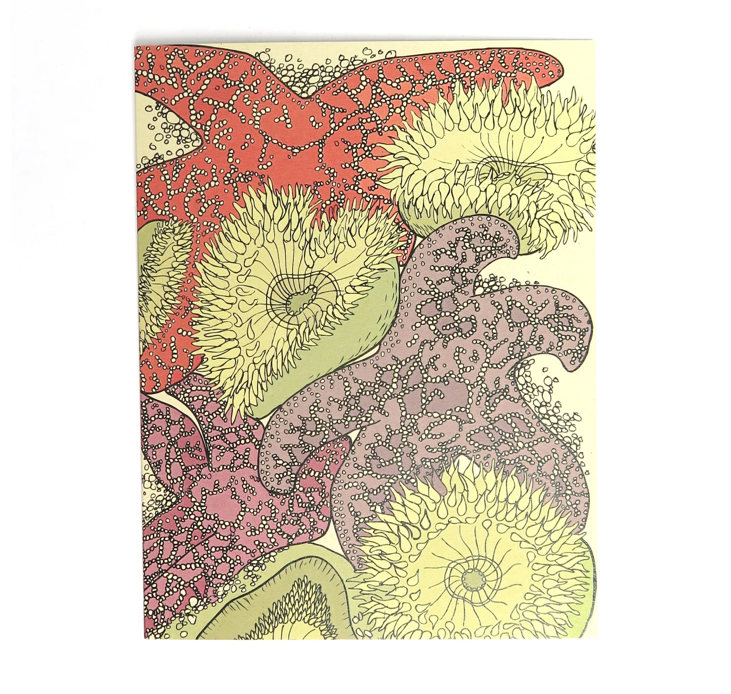 starfishカート Star Fish Card — Wild Life